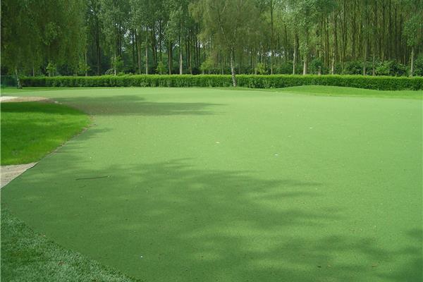 Aménagement trous d'entraînement, gazon naturel et synthétique sur terrain de golf - Sportinfrabouw NV